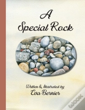 Capa do artigo A Special Rock