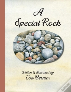 Capa do artigo A Special Rock