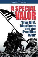 A Special Valor
