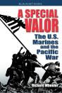 A Special Valor - Preview