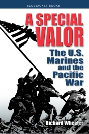Capa do artigo A Special Valor
