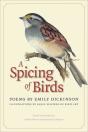 A Spicing Of Birds - Preview