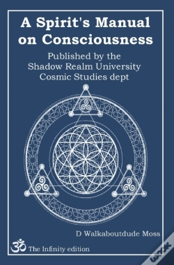 Capa do artigo A Spirit'S Manual On Consciousness