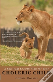 Capa do artigo A Spiritual Growth Plan For Your Choleric Child