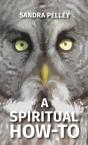 A Spiritual How-To - Preview