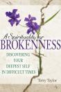 A Spirituality For Brokenness - Preview