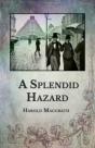 A Splendid Hazard - Preview