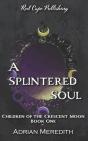A Splintered Soul - Preview