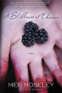 A Stillness Of Chimes - Preview