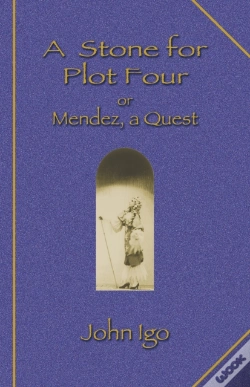 Capa do artigo A Stone For Plot Four