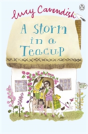 A Storm In A Teacup - Preview