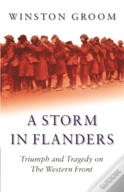 Capa do artigo A Storm In Flanders
