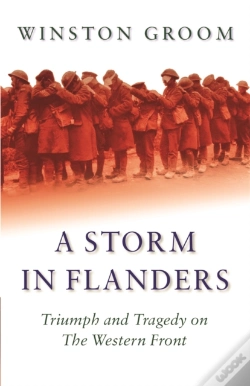 Capa do artigo A Storm In Flanders