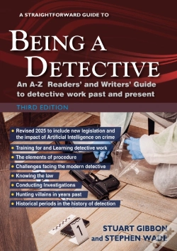Capa do artigo A Straightforward Guide To Being A Detective: Third Edition - 2025