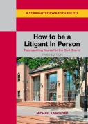 A Straightforward Guide To How To Be A Litigant In Person
