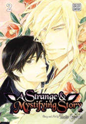 Capa do artigo A Strange & Mystifying Story, Vol. 2