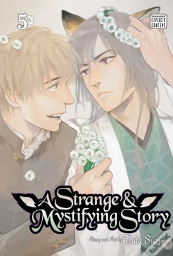 Capa do artigo A Strange & Mystifying Story, Vol. 5