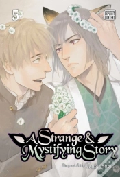 Capa do artigo A Strange & Mystifying Story, Vol. 5