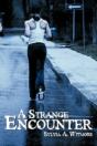 A Strange Encounter - Preview