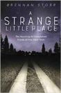 A Strange Little Place - Preview