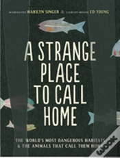 Capa do artigo A Strange Place To Call Home