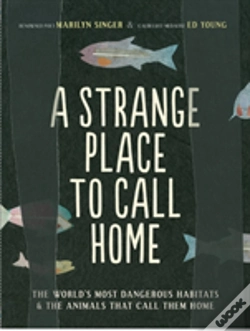 Capa do artigo A Strange Place To Call Home