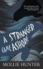 A Stranger Came Ashore - Preview