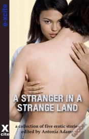 Capa do artigo A Stranger In A Strange Land