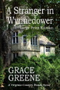 A Stranger In Wynnedower - Preview