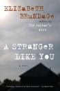 A Stranger Like You - Preview