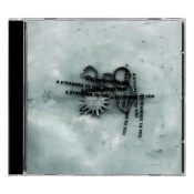 Capa do artigo A Stranger to You - CD