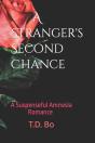 A Stranger'S Second Chance - Preview