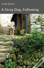 Capa do artigo A Stray Dog, Following