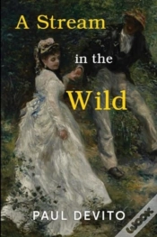 Capa do artigo A Stream In The Wild