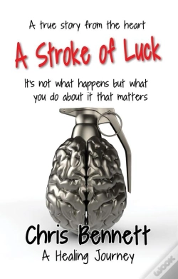 Capa do artigo A Stroke Of Luck