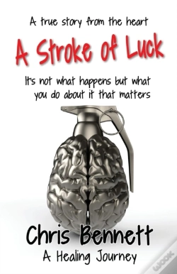 Capa do artigo A Stroke Of Luck