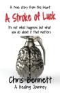 A Stroke Of Luck - Preview