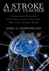 A Stroke Was My Teacher