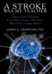 Capa do artigo A Stroke Was My Teacher