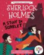 A Study In Scarlet: Accessible Symbolised Edition - Preview