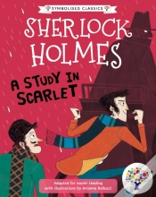 Capa do artigo A Study In Scarlet: Accessible Symbolised Edition