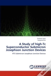 A Study Of High-Tc Superconductor Submicron Josephson Junction Devices