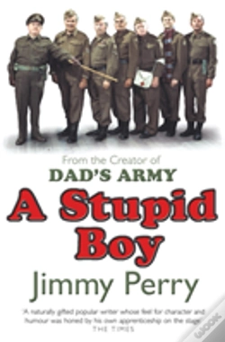 Capa do artigo A Stupid Boy