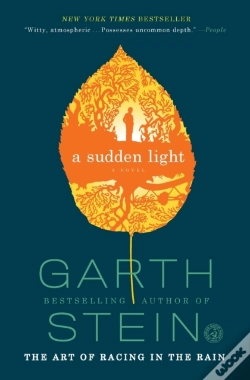Capa do artigo A Sudden Light