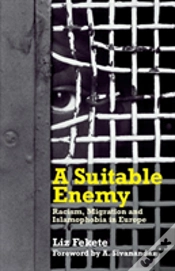 Capa do artigo A Suitable Enemy