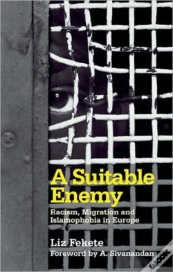 Capa do artigo A Suitable Enemy