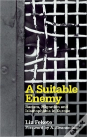 Capa do artigo A Suitable Enemy
