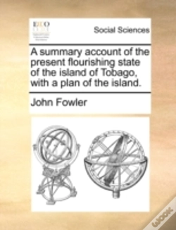Capa do artigo A Summary Account Of The Present Flouris