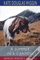 A Summer In A Canyon (Esprios Classics)