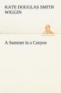 A Summer In A Canyon - Preview